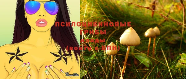 таблы Алзамай