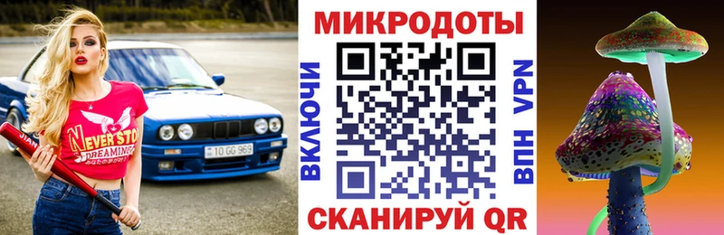 Псилоцибиновые грибы прущие грибы  Чёрмоз 
